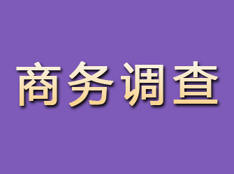 马村商务调查